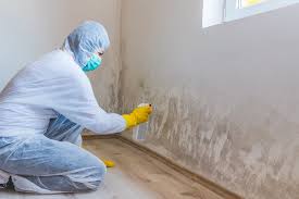 Best Mold Odor Removal Services in Silverdale, WA