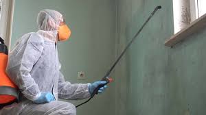 Why You Should Choose Our Mold Remediation Services in Silverdale, WA