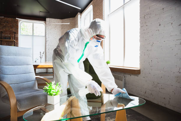  Silverdale, WA Mold Removal Pros