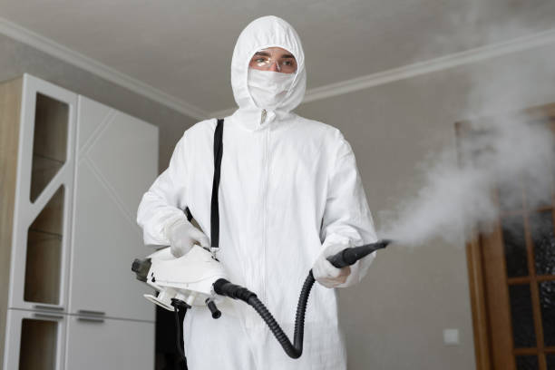 Trusted Silverdale, WA Mold Removal Experts